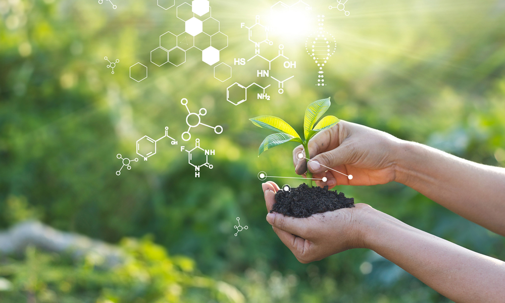 Healthcare & Biotechnology/Pharmaceutical